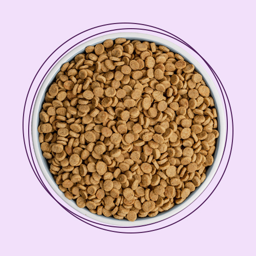 غذای خشک